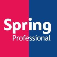 Spring Professional Belgium logo - Similar company to Visuatech