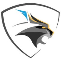 BlackLynx logo - Similar company to Veterans Engineering & Professional Services