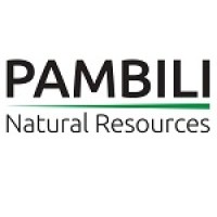 Pambili Natural Resources Corporation logo - Similar company to Solistra