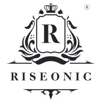 Riseonic logo - Similar company to Riseotech Pvt. Ltd.