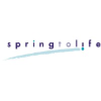 Spring To Life