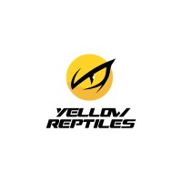 Yellow Reptiles logo - Similar company to Holonex
