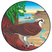 Stewards Of The Coast And Redwoods