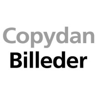 Copydan Billeder (Copydan Visual) logo - Similar company to Visda - Visuelle Rettigheder Danmark