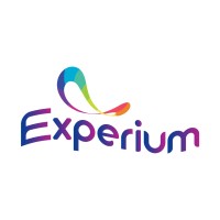 Experium logo - Similar company to Experium