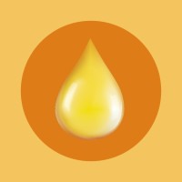 National Oil and Lube News logo - Similar company to Gilbert'S Oil Company