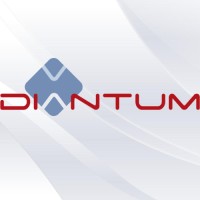 Diantum logo - Similar company to Alterego Web