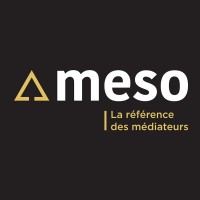 Groupe Meso logo - Similar company to Treize Chocolats