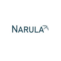 Narula Nonwoven Company Limited logo - Similar company to Simpuna Llc