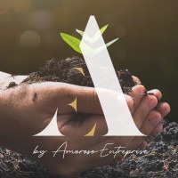 Cabinet AMOROSO ENTREPRISE logo - Similar company to Immology