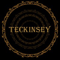 Teckinsey Consulting Pvt Ltd logo - Similar company to Abhi Resource