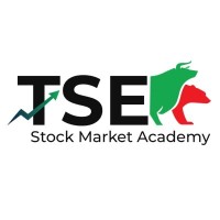 TSE Delhi logo - Similar company to The Trading Techniques
