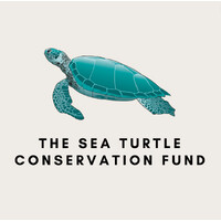 Sea Turtle Conservation Fund logo - Similar company to Costa Rican Alliance For Sea Turtle Conservation & Science (Coasts)