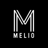 Melio Consulting Group logo - Similar company to Infotility
