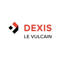DEXIS LE VULCAIN logo - Similar company to Control2Rack