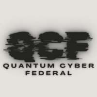 Quantum Cyber Federal logo - Similar company to Dkw Consulting Llc