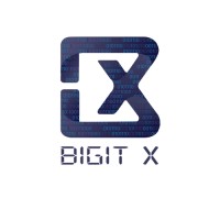Bigit X logo - Similar company to Promaxworld.Com