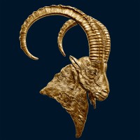 IBEX logo - Similar company to Ibex Collection