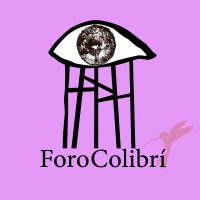 Foro Colibrí logo - Similar company to Volcan Software