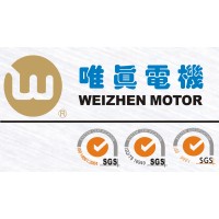 SHENZHEN WEIZHEN MOTOR COMPANY LIMITED logo - Similar company to Zhejiang Jinlong Electrical Machinery Stock Co.,Ltd