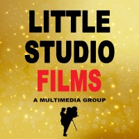 LITTLE STUDIO FILMS logo - Similar company to Alethics