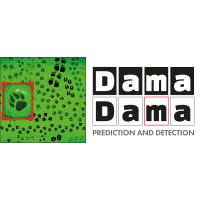 Dama Dama logo - Similar company to Javatar