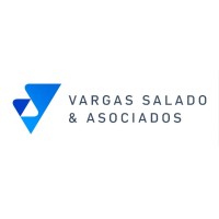 Vargas Salado y Asociados, S.C. logo - Similar company to Disorder