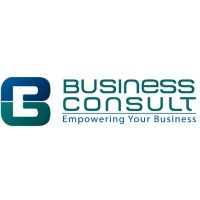 Business Consult logo - Similar company to Smart Charging Technologies