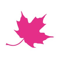 Naturine agence de communication Lyon logo - Similar company to 7Alimoges