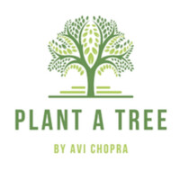 Plant a Tree logo - Similar company to Young Entrepreneurs Academy, India