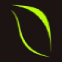 Lime Leaf Media