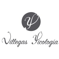 Villegas Psicologia logo - Similar company to Ítaca | Psicología Y Lenguaje