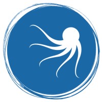 Olpas logo - Similar company to Ninix Technologies
