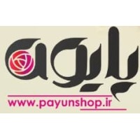 Payunshop.ir logo - Similar company to Limoonad | لیموناد