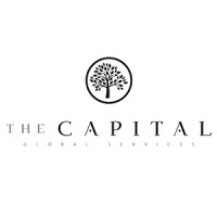 The Capital logo - Similar company to Qintegra Consulting