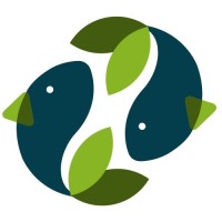 Verde Acqua