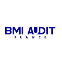 BMI AUDIT FRANCE logo - Similar company to Bmi Audit Services