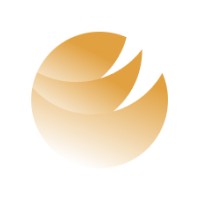 NeuroBlade logo - Similar company to Hailo