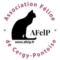 AFelP logo - Similar company to Seconde Chance