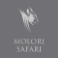 Molori Safari