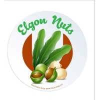 Onja Uone Ltd logo - Similar company to Advantage It