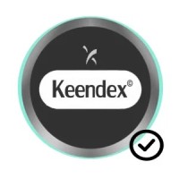 Keendex International Egypt logo - Similar company to Hegazy Integrated Solutions