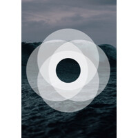 Petrolia Noco AS logo - Similar company to Source Energy As