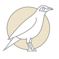 Pala Legal Recruiting logo - Similar company to Gallium Law
