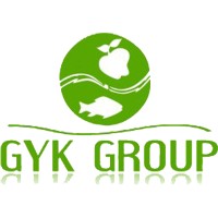 GYK Co.Ltd Vietnam logo - Similar company to Digital Bricks