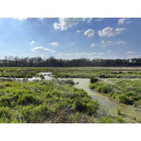 Buffalo Creek Preserve, LLC logo - Similar company to Marshall Miller & Associates