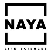 NAYA MODULARS logo - Similar company to Wicket Ab