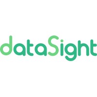 Datasight logo - Similar company to Gabriel Miller Inc