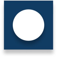 Besistem logo - Similar company to Parakeetai