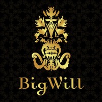 Big Will Group N.V. logo - Similar company to Sud Centre Bv